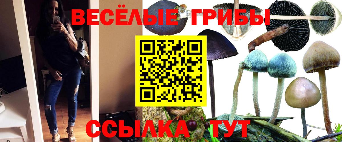 Дальнереченск  Псилоцибиновые грибы Cubensis  Вход с VPN 